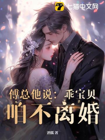 傅总他说：乖宝贝，咱不离婚